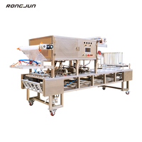 RJBG-4Q Model Automatische Complete Geconcentreerde Appelsap Productielijn Vloeistofvulfmachine Productielijn Kunststof