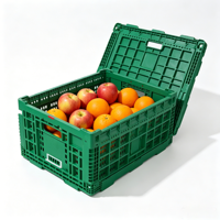 Caisse en plastique pliable ventilée, réutilisable et repliable pour la distribution de fruits et légumes en ferme