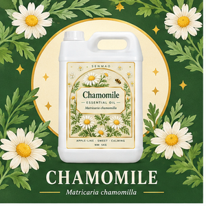 <span class=keywords><strong>Aceite</strong></span> Esencial <span class=keywords><strong>de</strong></span> Manzanilla al por Mayor para el Cuidado <span class=keywords><strong>de</strong></span> la Piel, Hidratación, Relajación y Aromaterapia, Proveedor Mayorista - Product Image 1