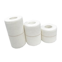 Bandage adhésif élastique 75mm motif personnalisé coton EAB pour la protection de la cheville hypoallergénique longueur 5m pour ruban de sport