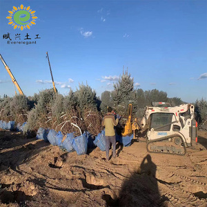 Người bán hàng tốt nhất 30 "-32" Cây trồng lưới dây sắt giỏ để trồng rễ cây - Product Image 3