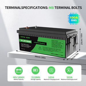 <span class=keywords><strong>Batterie</strong></span> LiFePO4 48 V <span class=keywords><strong>100</strong></span> <span class=keywords><strong>Ah</strong></span> avec BMS 100A, livraison gratuite aux États-Unis, compatible en série/en parallèle, idéale pour les systèmes de <span class=keywords><strong>camping</strong></span>-<span class=keywords><strong>car</strong></span> et domestiques - Product Image 6
