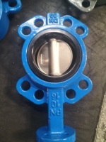 Vanne papillon à siège souple DN50 de 2 pouces, en fonte ductile avec joint EPDM, peinture bi-couche sablée pour l'alimentation en eau