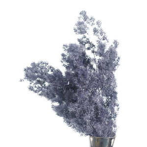 Vente en gros de fleurs conservées Asperges Fougère Ming blanche éternelle pour arrangement floral - Product Image 5