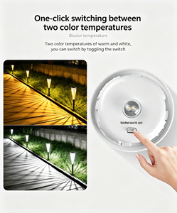 Lampe solaire pour allée, lumière blanche et chaude réglable, 2 LED, lampe de jardin extérieure, lampe à piquet monocristalline - Product Image 4
