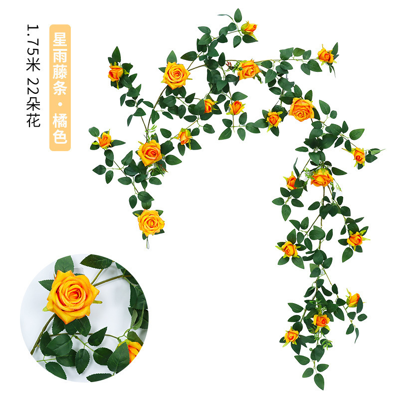 Vignes de roses de bon augure [Orange]