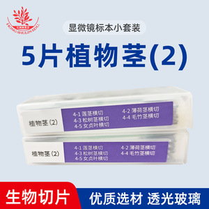 5 - Product Image 4