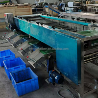 8-10t/u Kleine Kiwi-Komkommer Sorteermachine Automatische Abrikoos-Granaatappel Sorteermachine Pecannoten Rolgraderingsmachine