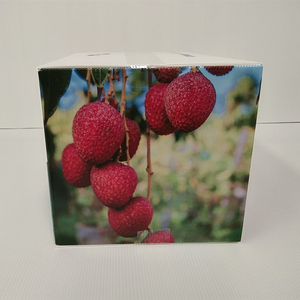 Nhà sản xuất bán buôn PP coroplast doanh thu hộp chống ăn mòn tài sản hộp cho trái cây và rau quả Hộp bao bì SPC - Product Image 2