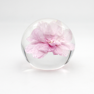 Véritable fleur sèche en résine fleur séchée <span class=keywords><strong>m</strong></span>'a <span class=keywords><strong>oublié</strong></span> pas fleur véritable floral en résine époxy boule de cristal faite à la main - Product Image 5