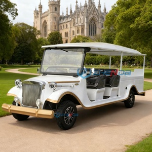 Electric Funeral Hearse Car Coffin Hearse Wagon Hearse Buggy Cart Horse Funeral Hearse Funeral Car Vintage Car Body - Product Image 1