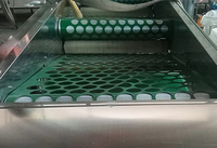 Knoflook sorteermachine, maatselectie fruit- en groentemachine, gatbandtype knoflook maatselectiemachine