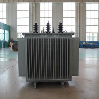 Premium Düşük Kayıplı 3 Fazlı Güç S13-M-400 400kVA 10kV/0.4kV Dış Mekan Yağlı Tip Dağıtım Trafosu 5 Kademeli Tapalı