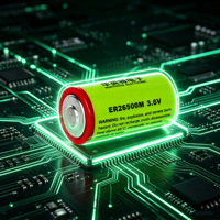 Batterie primaire ER26500M au lithium 3,6 V 2500 mA à décharge pulsée 6500 mAh