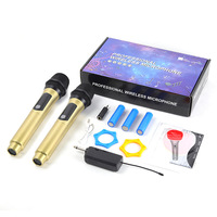 Double micro portatif sans fil UHF 2.4G personnalisé pour la maison scène fête professionnel Plug and Play KTV système de karaoké Microphone dynamique