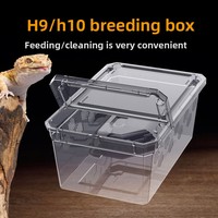 Terrarium pour reptiles H19H20 en plastique, petite/moyenne/grande boîte d'élevage pour tortues, araignées, geckos, grenouilles cornées, mille-pattes