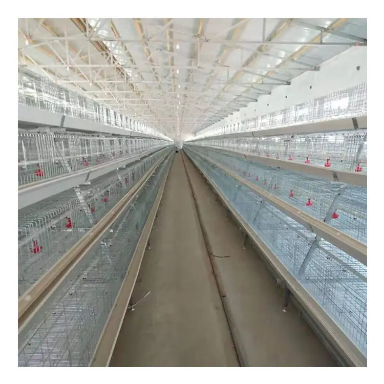 मुर्गीपालन के लिए दुनिया भर में मुर्गियां अंडे की परत चिकन केज बहुक्रियाशील प्रदान की गई खोई चिकन बॉक्स Xilaiya हॉट सेल सभी