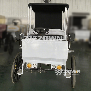 Carroza Eléctrica de Estilo Vintage ZOWN para Turismo, Garantía de 2 Años, Tamaño/Color Personalizado, Estante de Hierro, Contenedor de Madera Contrachapada - Product Image 6