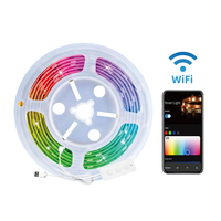 Lampu Strip LED Pintar RGBIC 5V USB, Kontrol Aplikasi WiFi 2.4G Sinkronisasi Musik Bekerja dengan Alexa Google Home Tuya Kontrol Suara Timer