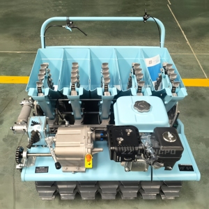 Équipement <span class=keywords><strong>de</strong></span> machine <span class=keywords><strong>agricole</strong></span> <span class=keywords><strong>Fournisseur</strong></span> d'usine Semoir à ail pour moteur à essence à 4 5 6 rangs - Product Image 2