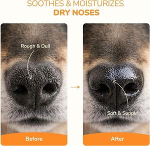 Balsamo per <span class=keywords><strong>Zampe</strong></span> di Cani Vegano Sicuro da Lasciare in Bocca, con Olio di Cocco e Burro di Karité, Idratante e Nutriente per Cani e Gatti, Completamente Naturale - Product Image 4