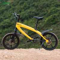 Vélo électrique à assistance au pédalage avec batterie 5,8 Ah, vélo électrique de ville
