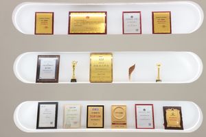 Eva energia dell'idrogeno CSM 100Nm/h di elevata purezza (99.9%-99.999%) ha centralizzato l'elettrolizzatore dell'idrogeno per l'industria chimica - Product Image 5