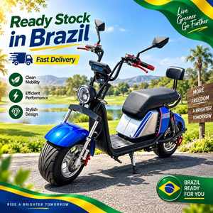 Scooter électrique Citycoco X13 1000W, entrepôt d'outre-mer au Brésil, batterie au lithium 60V20Ah, livraison porte à porte - Product Image 5