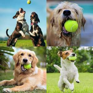 Pelota de Tenis para Perros con Logotipo Personalizado, Alta Elasticidad, Colorida, Fácil de Atrapar, Pelota de Juego para Mascotas, para Masticar y Perseguir, 2.5 Pulgadas - Product Image 2