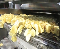Línea de producción de patatas fritas naturales ZHUOYU 100-500 kg/h Línea de producción de patatas fritas frescas