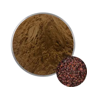 Wholesale Factory Price Improving Sleeping High Quality Wild Jujube Seed Extract