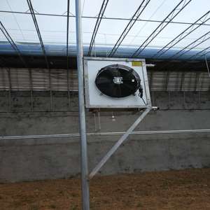 <span class=keywords><strong>Serre</strong></span> de <span class=keywords><strong>tunnel</strong></span> en plastique renforcé solaire passif avec cadre en acier galvanisé à chaud utilisé en hiver - Product Image 3