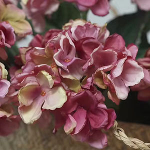 <span class=keywords><strong>Di</strong></span> alta qualità a stelo lungo <span class=keywords><strong>di</strong></span> seta artificiale <span class=keywords><strong>di</strong></span> ortensie Bouquet carbonizzato mazzo <span class=keywords><strong>di</strong></span> <span class=keywords><strong>fiori</strong></span> per le occasioni <span class=keywords><strong>di</strong></span> natale all'ingrosso - Product Image 4