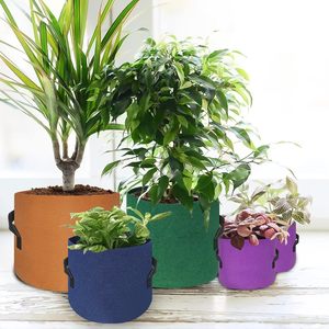 Sacs <span class=keywords><strong>de</strong></span> culture <span class=keywords><strong>de</strong></span> plantes en feutre <span class=keywords><strong>de</strong></span> tissu coloré le plus épais 10/7/5/3 gallons tailles variées pépinière fleur PP étiquettes <span class=keywords><strong>de</strong></span> pommes <span class=keywords><strong>de</strong></span> terre PP planteur sacs <span class=keywords><strong>de</strong></span> culture - Product Image 6