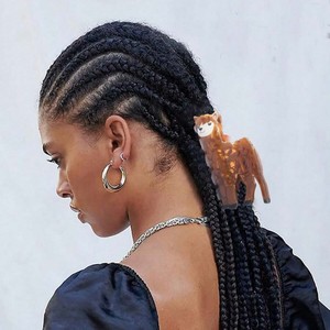 クリエイティブデザインアセテートヘアアクセサリー羊リス馬のサメの爪Haarklammerファッションパーソナリティなめらかなプラスチック素材 - Product Image 4