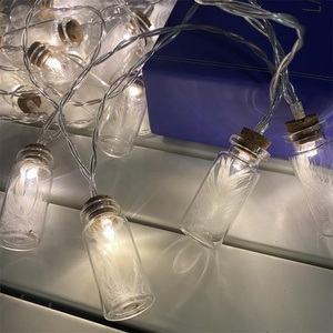 Nuovo arrivo luci Decorative a batteria 10 20 LED <span class=keywords><strong>bottiglia</strong></span> di desiderio di vetro all'interno di luci stringa fata piuma - Product Image 2