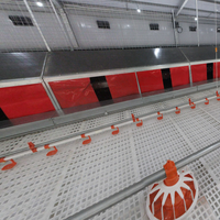 Système de chaîne d'alimentation pour équipement de volaille Poussins de volaille Mangeoire en plastique
