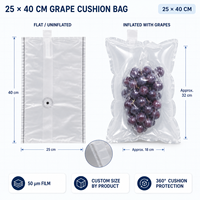 Coussin gonflable plat pour sac à raisins avec valve unidirectionnelle, rempli par pompe, gain de place pour l'emballage de fruits à l'exportation, rangement facile