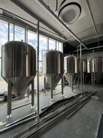 Cuve de Fermentation en Acier Inoxydable DYE 200L-20000L Capacité 500KG Équipement de Brassage