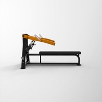 Offre Spéciale – Machine professionnelle de presse pectorale assise à charge libre, équipement de fitness commercial pour l'entraînement des pectoraux en salle de sport