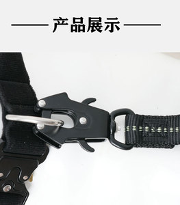 Correa de perro con hebilla de liberación rápida, correa de entrenamiento elástica ajustable con Clip de rana para correr al aire libre, caminar táctico - Product Image 6