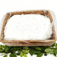 Vente en gros fabricant : Poudre de camphre 100% pure en cristaux, camphre naturel 25kg pour baume du tigre, inhalateur nasal, patch, crème de massage