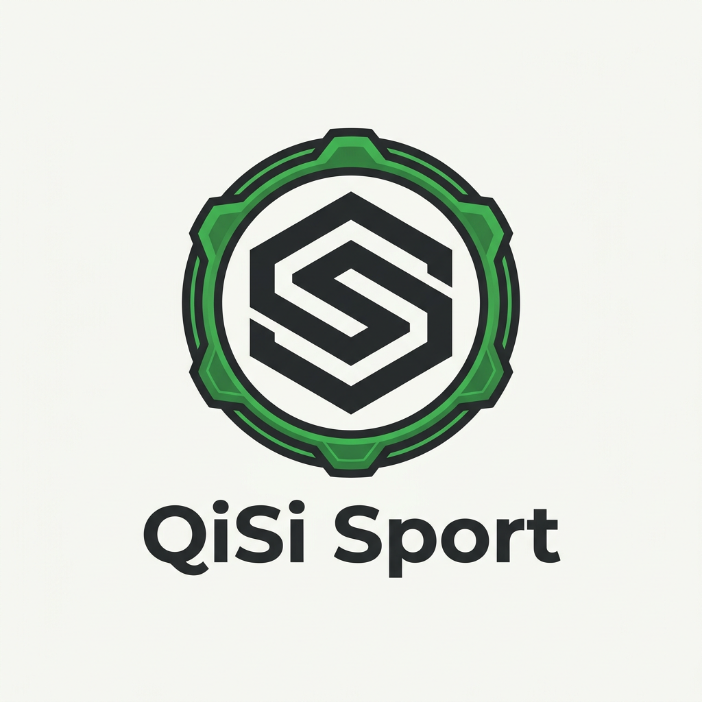 Henan Qisi Sports Goods Co., Ltd. logo