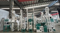 Machine à décortiquer le riz Sunfield, modèle sur pied, 800-1000 kg/heure, verticale, très productive, équipement complet, 380V, garantie 1 an