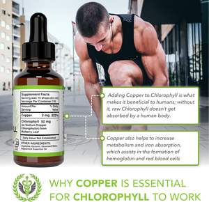 Chlorophyll-Flüssigkeits tropfen, organische Detox-und Immun unterstützung, interner Deodorant und Nahrungs ergänzungs mittel für die Haut - Product Image 2