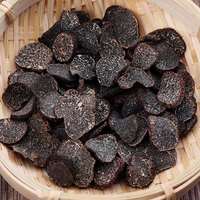 Amostras gratuitas de cogumelos de verão truffle preto seco de verão
