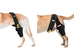 <span class=keywords><strong>Rodillera</strong></span> para <span class=keywords><strong>perro</strong></span> para desgarro ACL, pierna <span class=keywords><strong>trasera</strong></span>, ligamento cruzado para pierna <span class=keywords><strong>trasera</strong></span>, soporte fuerte para perros - Product Image 3