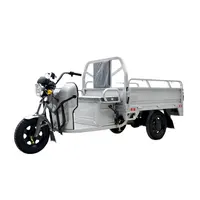 JINPENG 1000W מנוע חשמלי ואן מטענים תלת אופן עם עגלה תלת אופן חשמלי trike תלת אופן עבור מטען