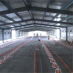 Bâtiments d'élevage avicole à structure métallique préfabriquée grande capacité à bas <span class=keywords><strong>prix</strong></span> pour poulets <span class=keywords><strong>de</strong></span> chair - Product Image 6