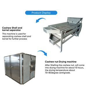 เครื่องจักรสายการผลิตเม็ดมะม่วงหิมพานต์อัตโนมัติ ยี่ห้อ Gashili พร้อม PLC และมอเตอร์เป็นส่วนประกอบหลัก รับประกัน 1 ปี - Product Image 3